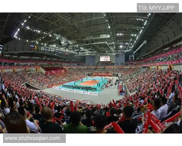 南京排球队运营揭秘：深度解析背后的管理与发展策略