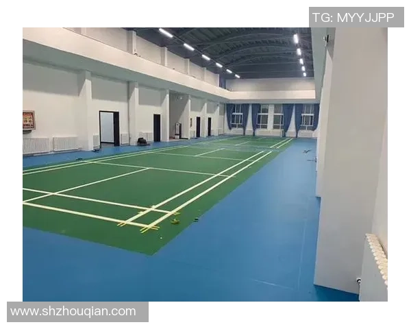 广州羽毛球队配合策略分析与技术提升探讨 广州羽毛球队配合策略分析与技术提升探讨